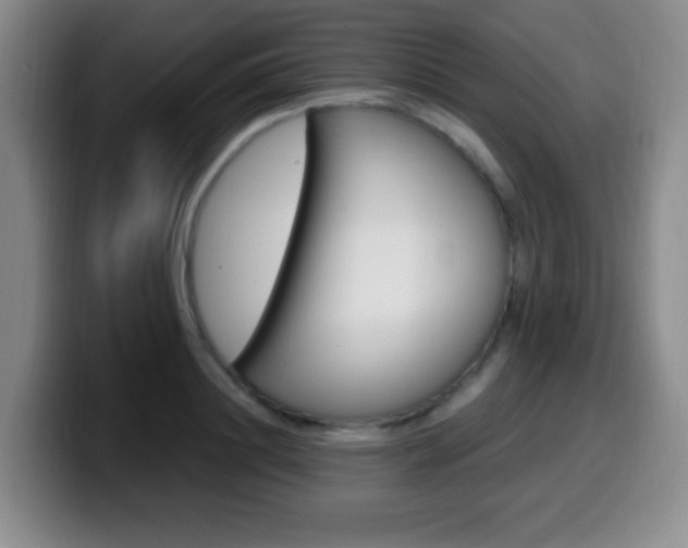 X0000099970844200805231000