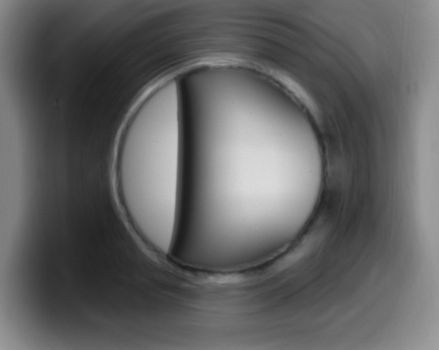 X0000099970845200805231000
