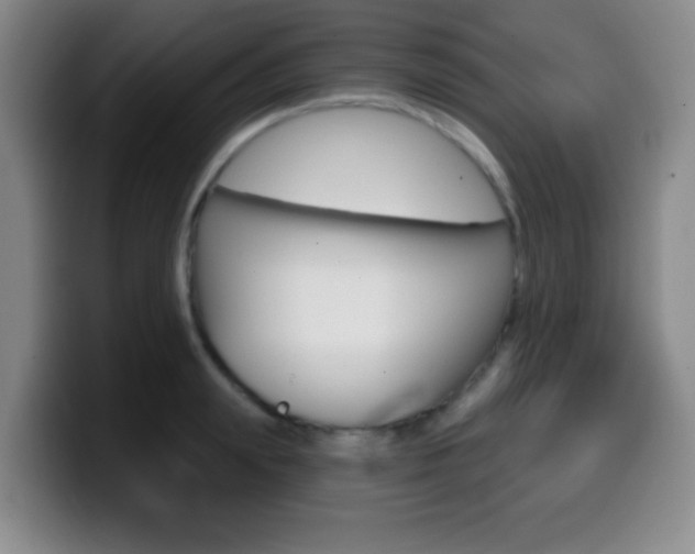 X0000099970847200805231000