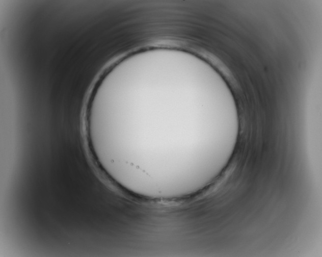 X0000099970848200805231000