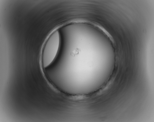 X0000099970853200805231000