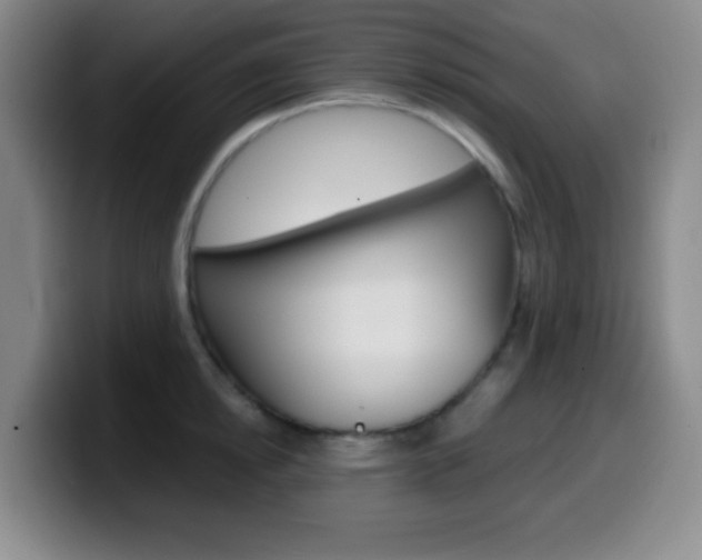 X0000099970854200805231000