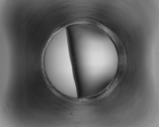 X0000099970858200805231000