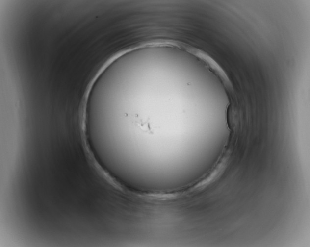 X0000099970860200805231000