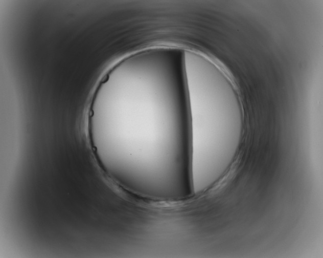 X0000099970862200805231000