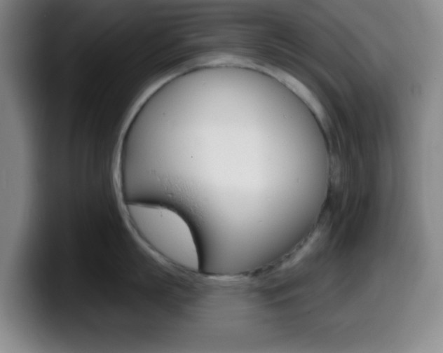 X0000099970863200805231000