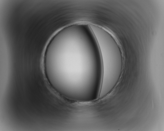 X0000099970864200805231000