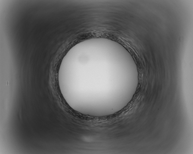 X0000099970865200805231000
