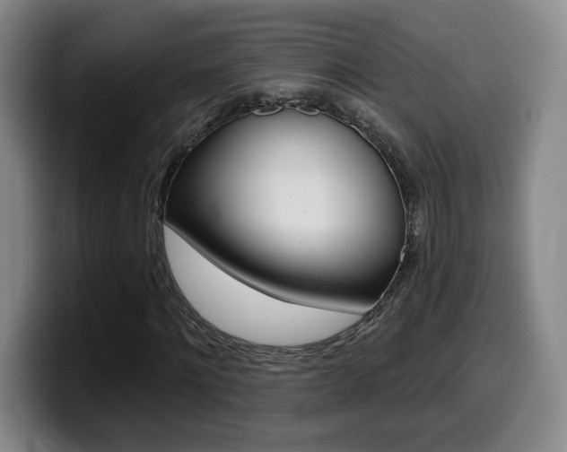 X0000099970868200805231000