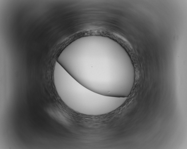 X0000099970869200805231000