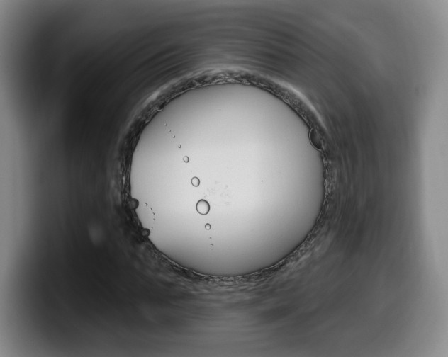 X0000099970871200805230959