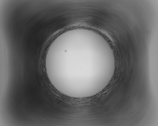 X0000099970872200805230959