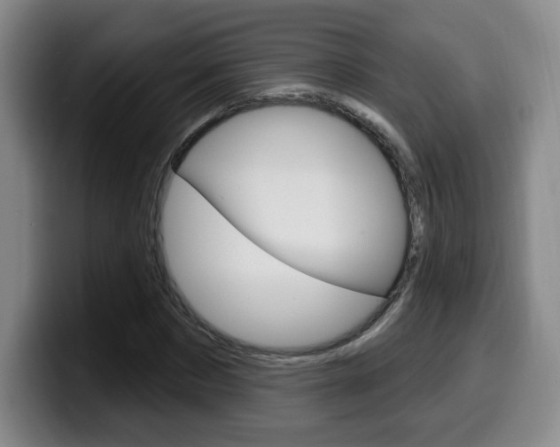 X0000099970873200805230959