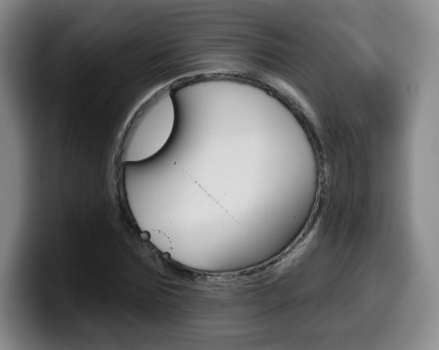 X0000099970875200805230959