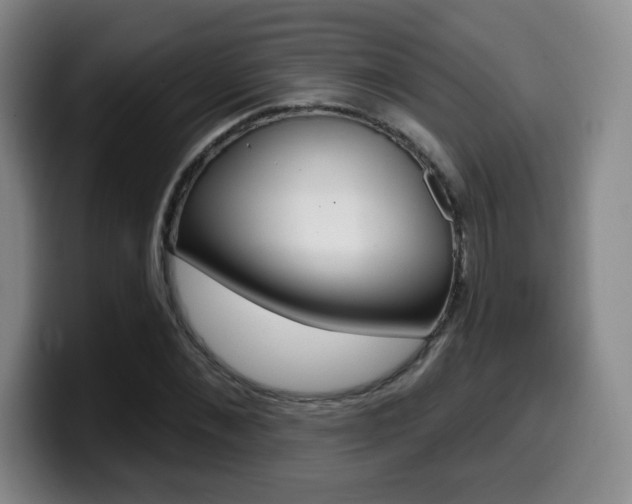 X0000099970876200805230959