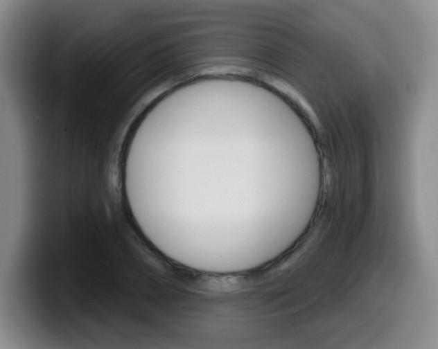 X0000099970882200805230959