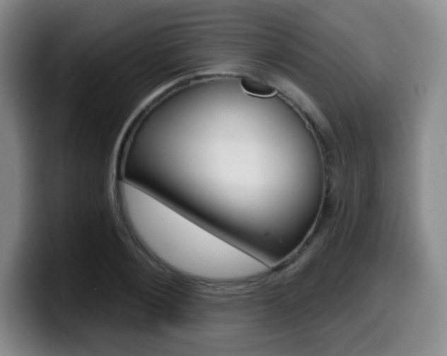 X0000099970884200805230959