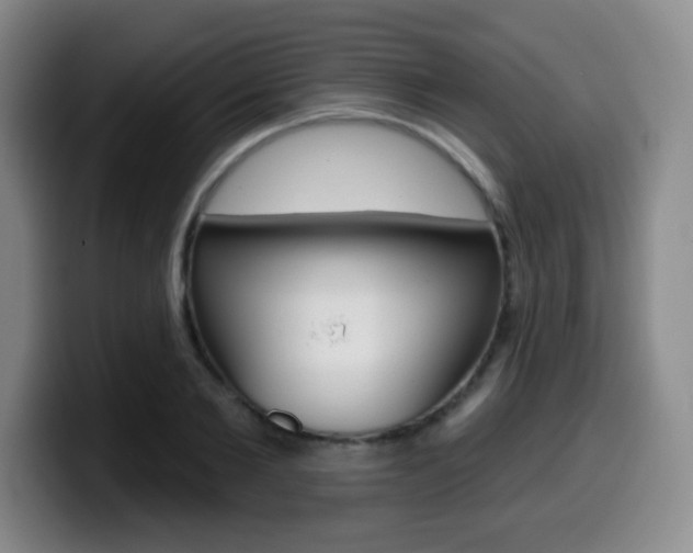 X0000099970885200805230959