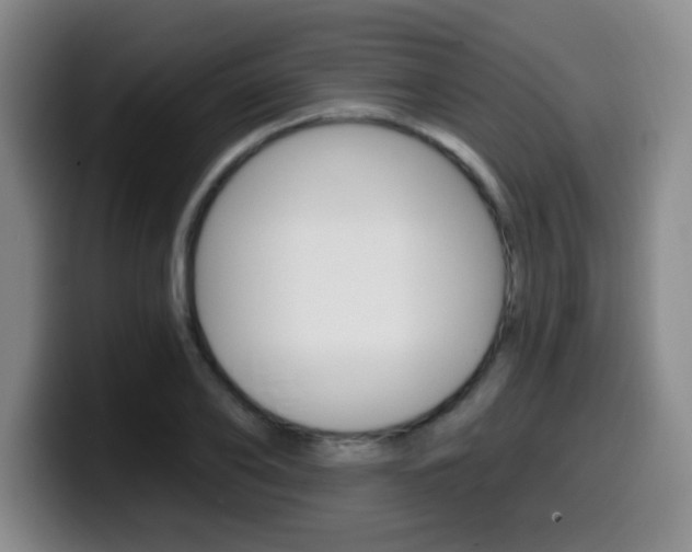 X0000099970886200805230959