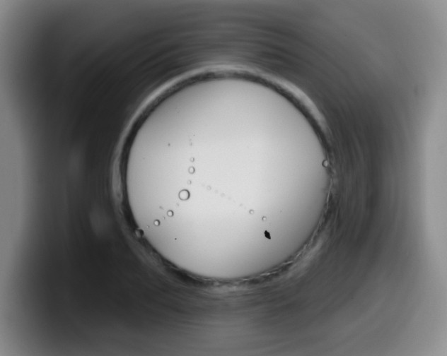 X0000099970887200805230959
