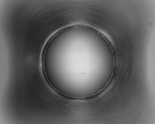 X0000099970888200805230959