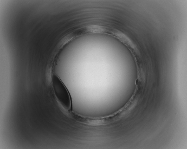X0000099970889200805230959