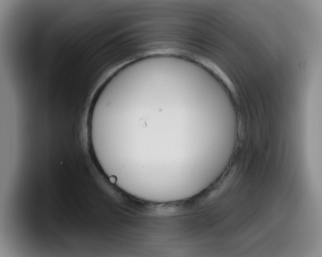X0000099970890200805230959