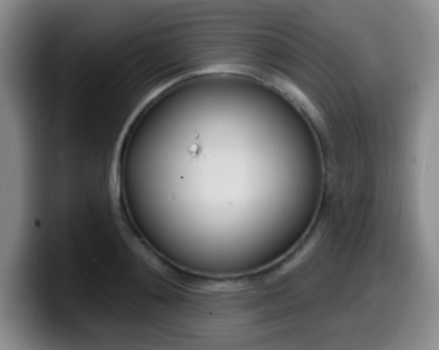 X0000099970892200805230959