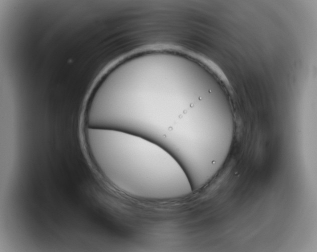 X0000099970895200805230959