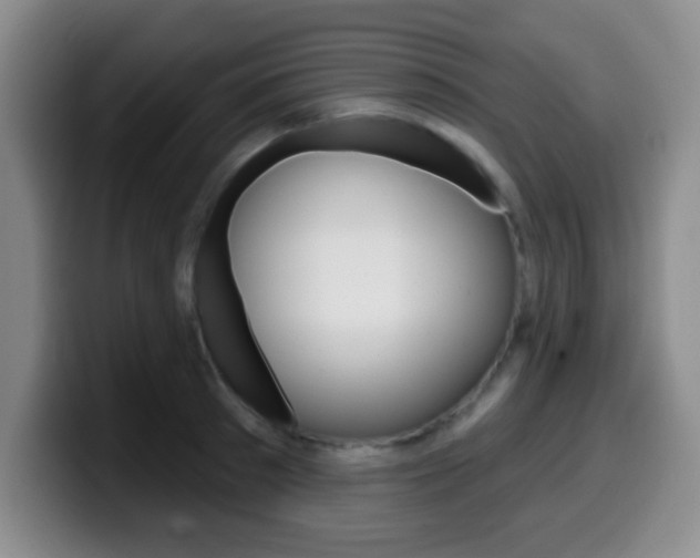 X0000099970897200805230959
