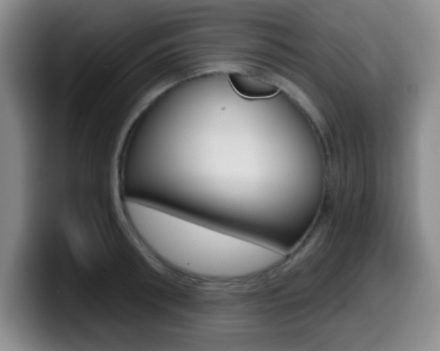 X0000099970898200805230959