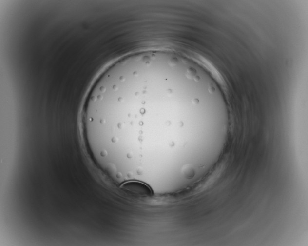X0000099970899200805230959