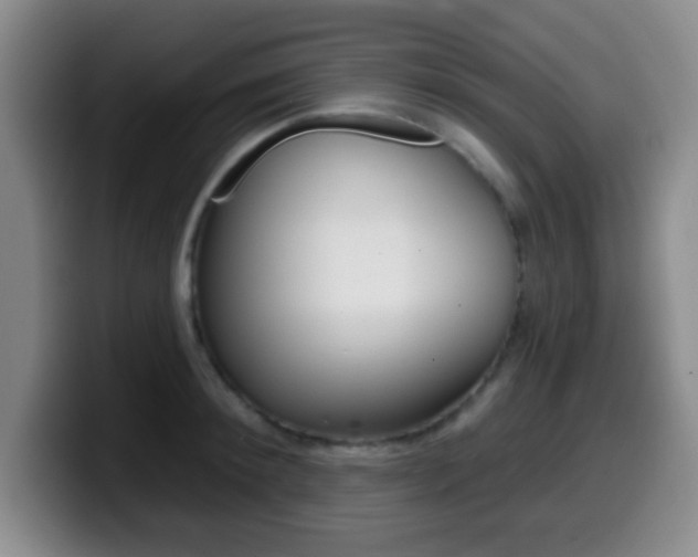 X0000099970900200805230959