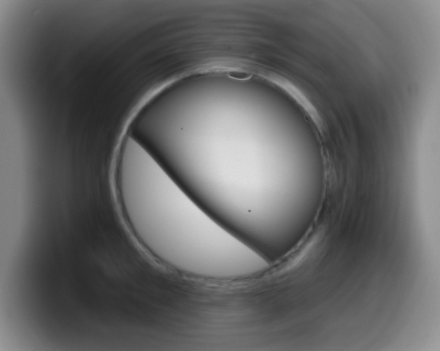 X0000099970901200805230959