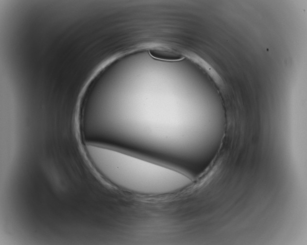 X0000099970902200805230959