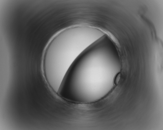 X0000099970904200805230959