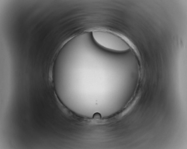 X0000099970905200805230959