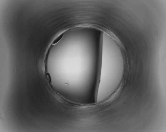 X0000099970908200805230959