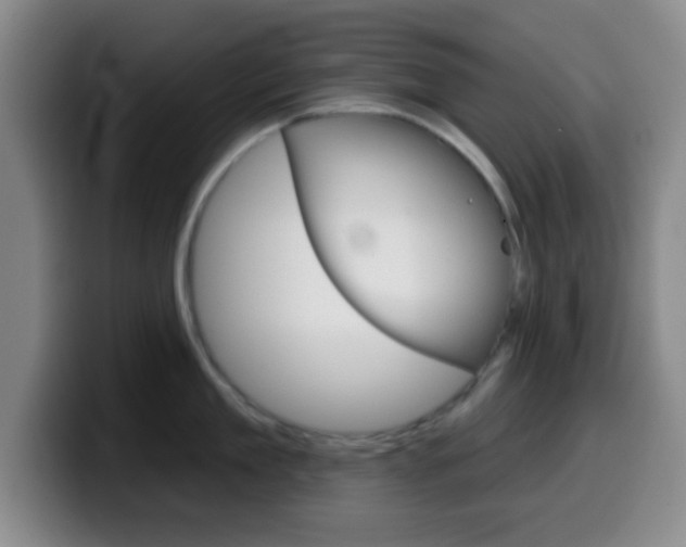 X0000099970909200805230959