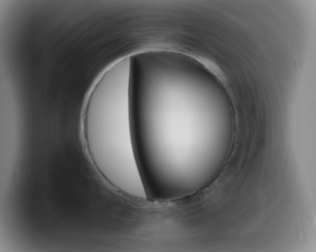 X0000099970912200805230959