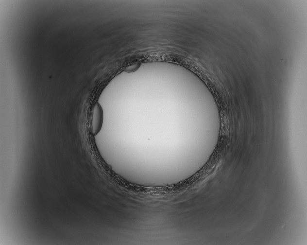 X0000099970913200805230958