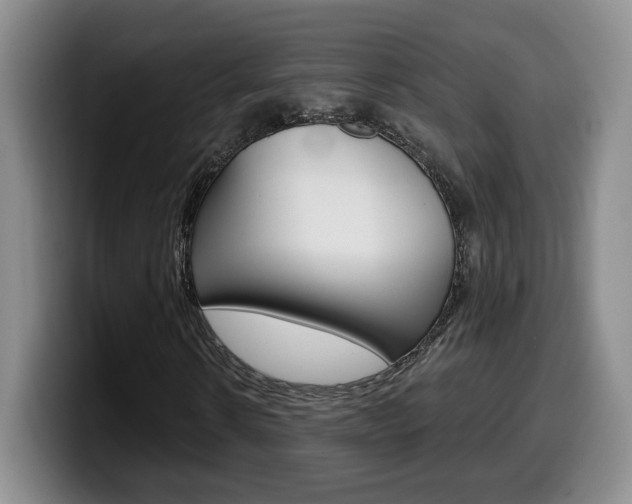 X0000099970914200805230958