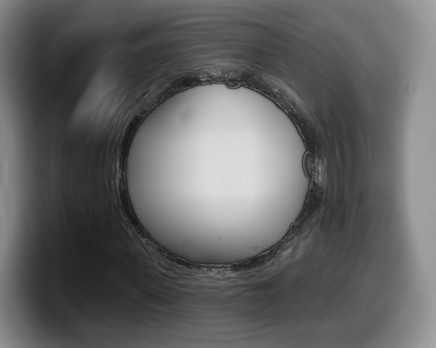 X0000099970915200805230958