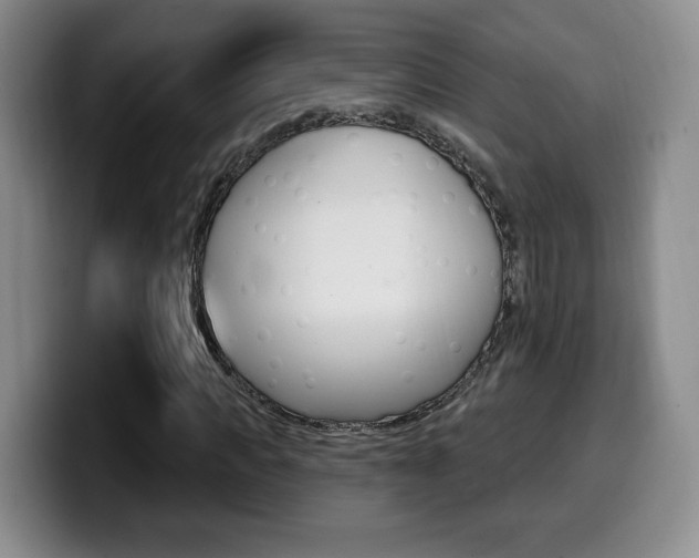 X0000099970917200805230958