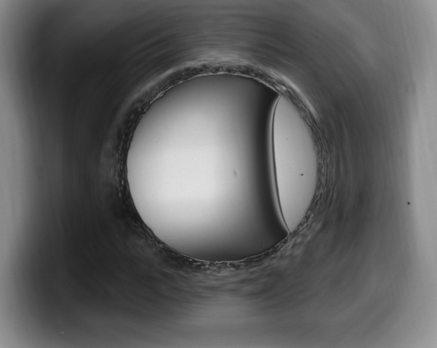X0000099970919200805230958