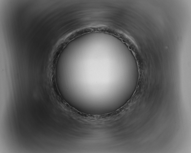 X0000099970920200805230958