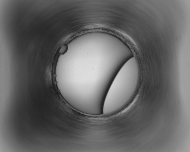 X0000099970921200805230958