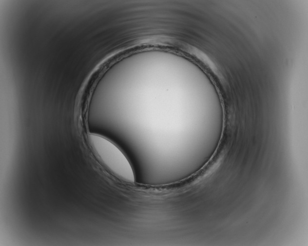 X0000099970923200805230958