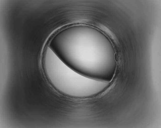 X0000099970924200805230958