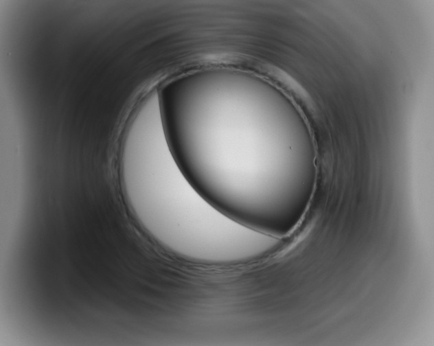 X0000099970930200805230958